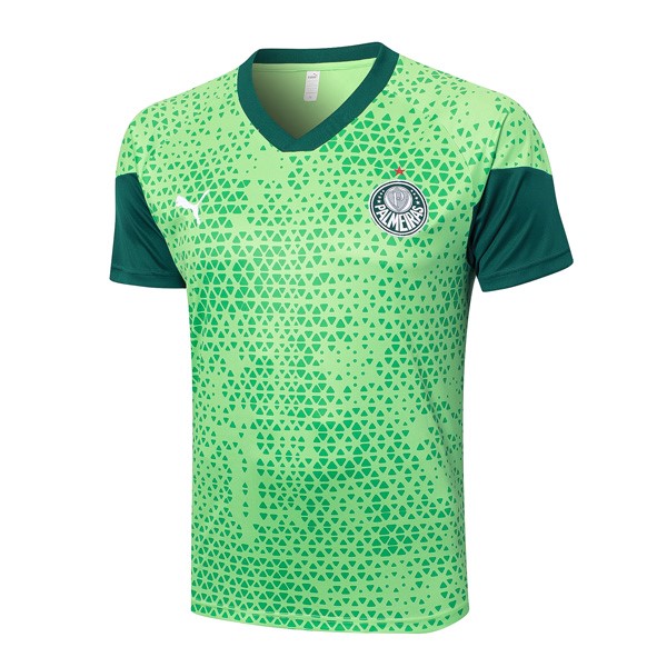 Camiseta Entrenamiento Palmeiras 2024 2025 Verde